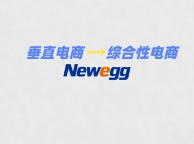Newegg公司深度解析:从PC配件垂直电商到全球化科技商务平台