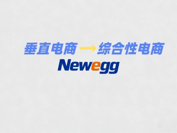 Newegg公司深度解析：从PC配件垂直电商到全球化科技商务平台